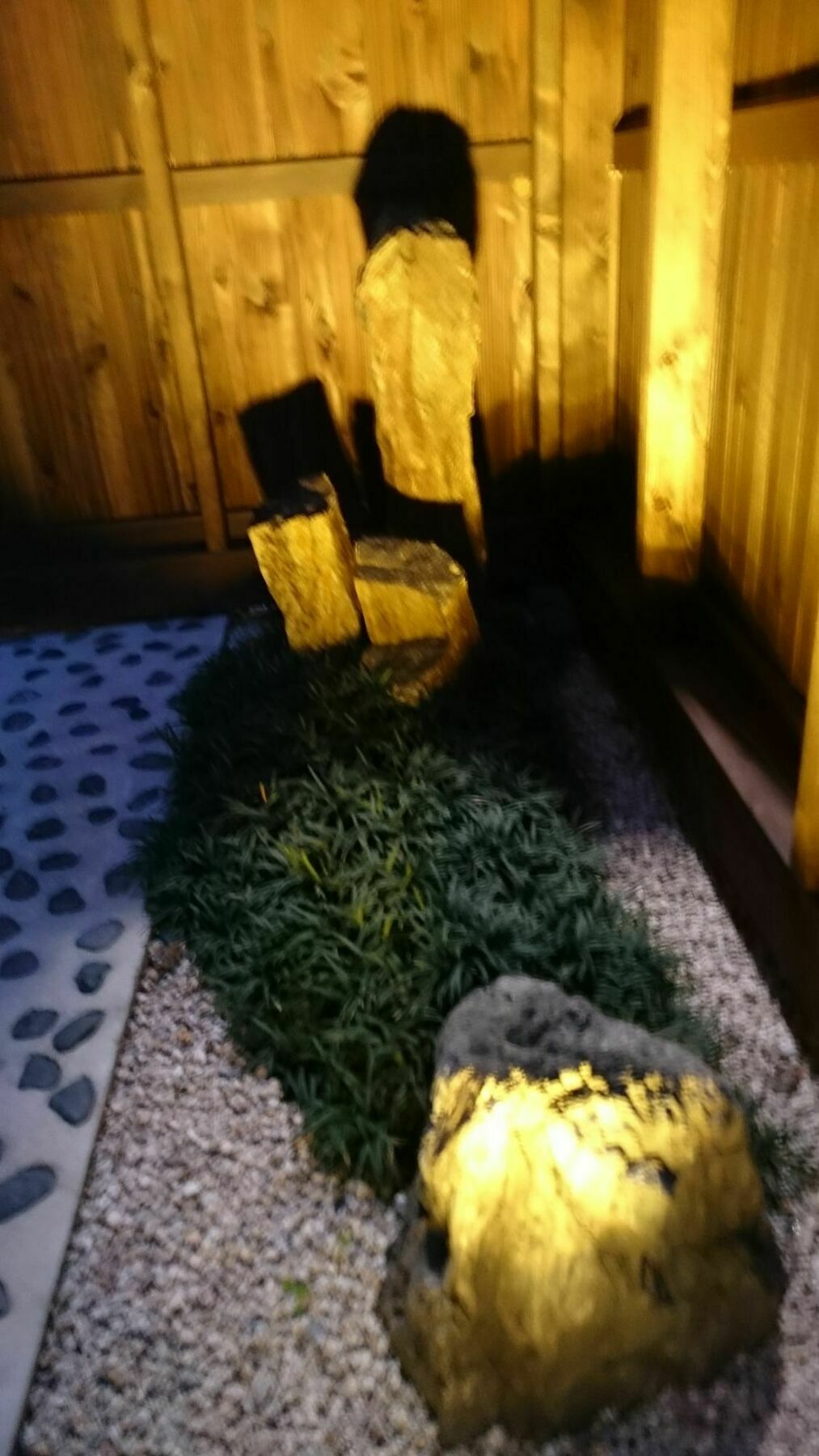 Kyonoyado Senkaku Bettei Villa Kiotó Kültér fotó